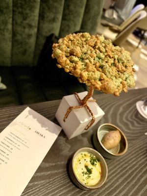 Council Oak Steaks & Seafood (in Seminole Hard Rock Hollywood) by null