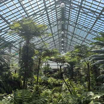 Garfield Park Conservatory - Parks Near Me - Chicago, Illinois Garfield Park Conservatory - Parks Near Me - Chicago, Illinois