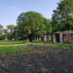 Stadtpark