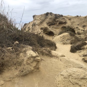 Torrey Pines State Reserve - Parks Near Me - La Jolla, California
