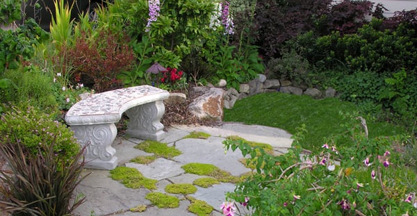 Charming Berkeley Front Yard Patio & Garden - We created this intimate and charming front yard space where the clients could sit with neighbours while they watched their kids play. Charming Berkeley Front Yard Patio & Garden - We created this intimate and charming front yard space where the clients could sit with neighbours while they watched their kids play.