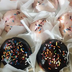 Iced sugar cookies