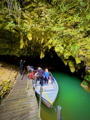 Waitomo Glowworm Caves by null