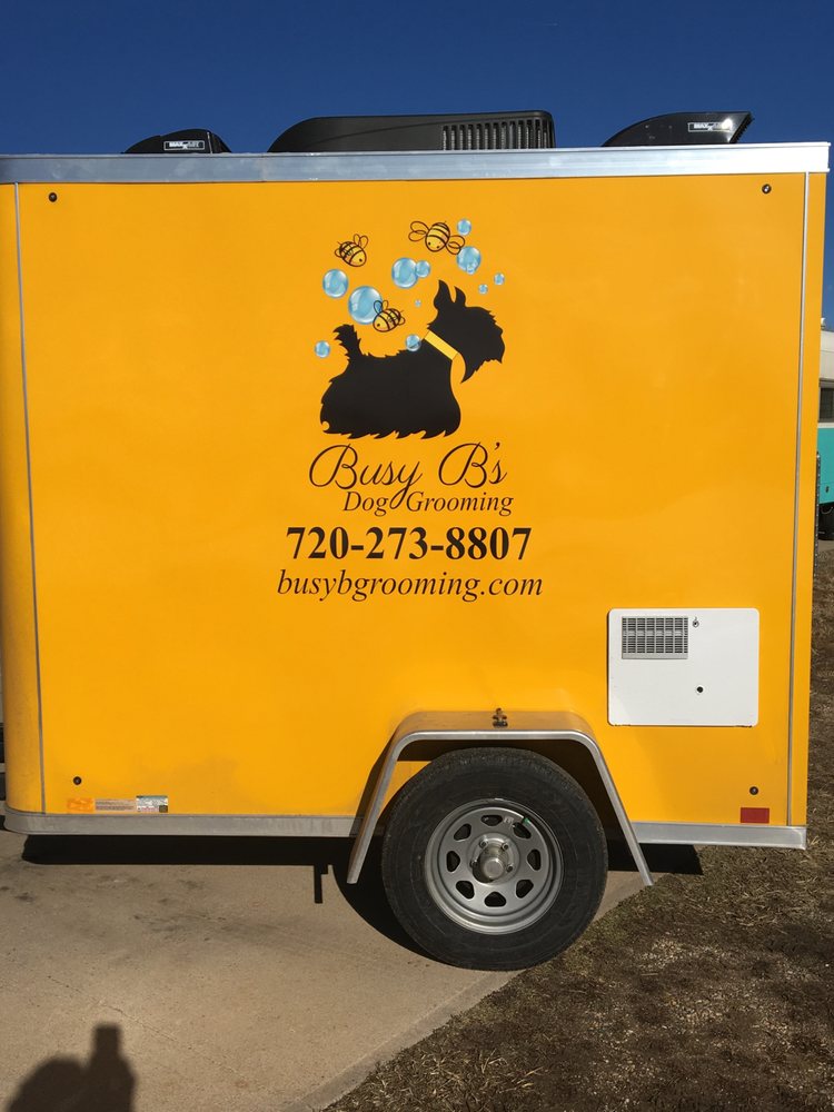 BUSY B’S DOG GROOMING Updated July 2024 12 Photos Fort Collins