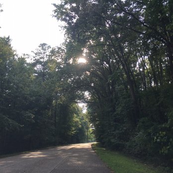 Colonial Parkway - Local Flavor Near Me