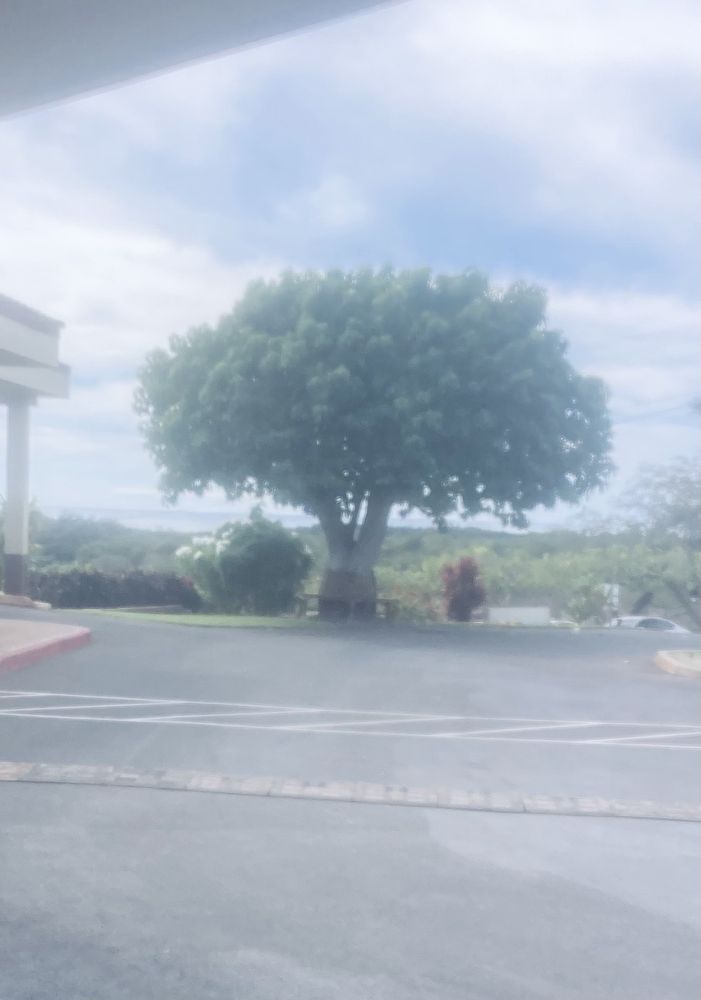 MOLOKAI GENERAL HOSPITAL - Updated May 2025 - 12 Photos - 280A Puali St ...