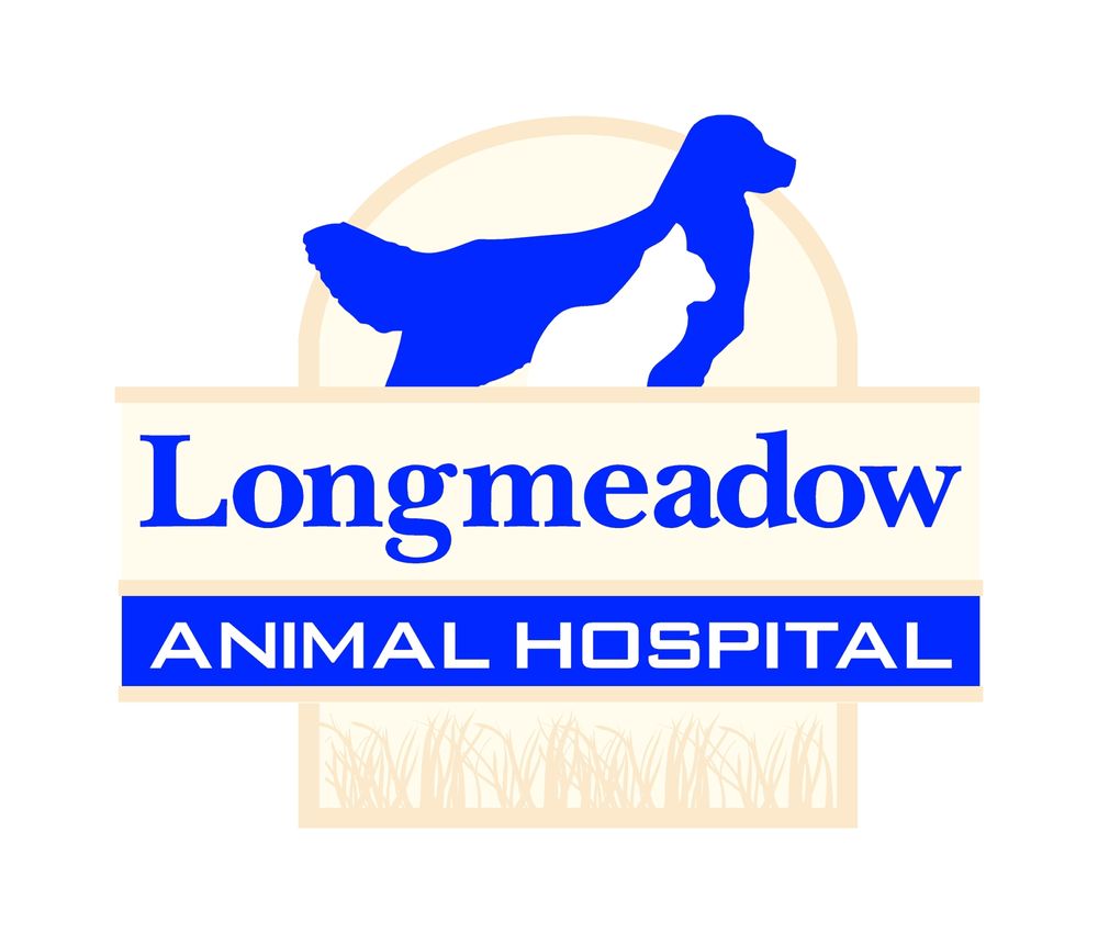 LONGMEADOW ANIMAL HOSPITAL Updated October 2024 20 Reviews 19764