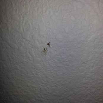Courtyard by Marriott Vacaville - here is the bugger on the ceiling in the Courtyard Marriott in Vacaville - Hotels Near Me - Vacaville, California