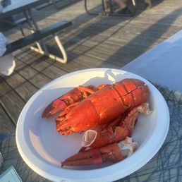 Lobster