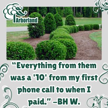 Arborland Tree Service - Tree Pruning Emergency Services Tree Removal View Enhancement Stump Grinding Brush Chipping Shrubs & Hedges Cabling Tree Service Arborists - Tree Services Near Me Arborland Tree Service - Tree Pruning Emergency Services Tree Removal View Enhancement Stump Grinding Brush Chipping Shrubs & Hedges Cabling Tree Service Arborists - Tree Services Near Me