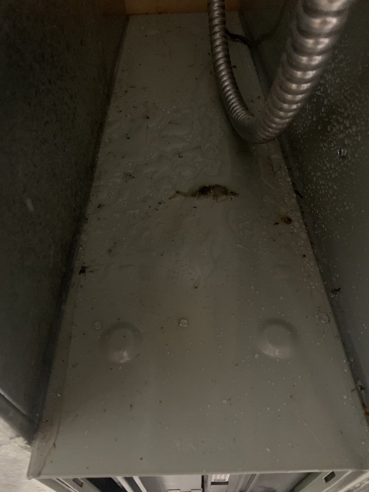 WEST MECHANICAL Updated July 2024 16 Photos & 14 Reviews 4443