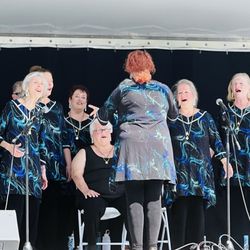 Coral Springs Festival of the Art