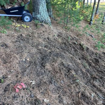Small Axe Outdoor Services - After; removed stump - Tree Services Near Me Small Axe Outdoor Services - After; removed stump - Tree Services Near Me