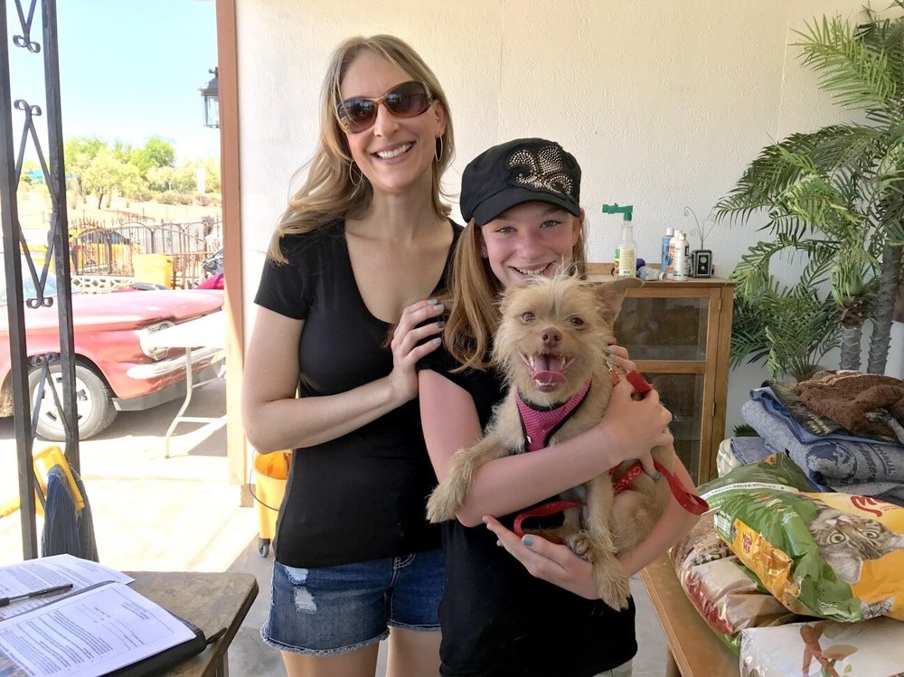 LOUISA’S NEW LEASH ON LIFE RESCUE Updated September 2024 44 Photos