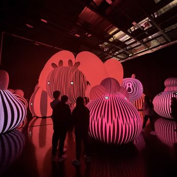 Balloon Museum - First room - Art Museums Near Me - Chicago, Illinois