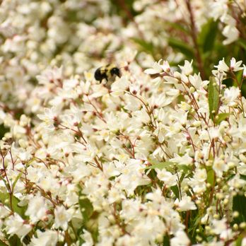 Gardener's at Rolling Green - Nurseries & Gardening Near Me - Greenland, New Hampshire Gardener's at Rolling Green - Nurseries & Gardening Near Me - Greenland, New Hampshire
