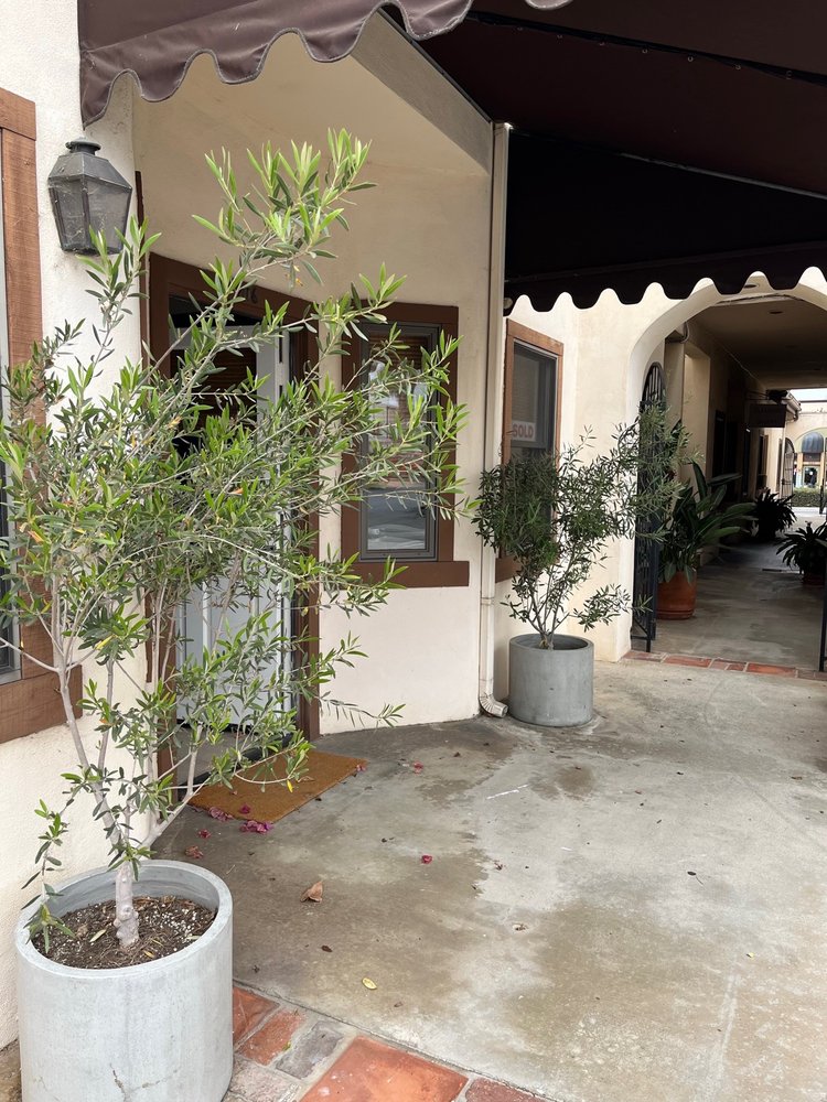 TURNER REAL ESTATE Updated June 2024 539 Carlsbad Village Dr