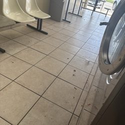 Mega Coin Laundry - This is the inside of the laundromat trashcan is very full, and floors are very dirty.