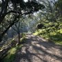 Photo of Diablo Foothills Regional Park