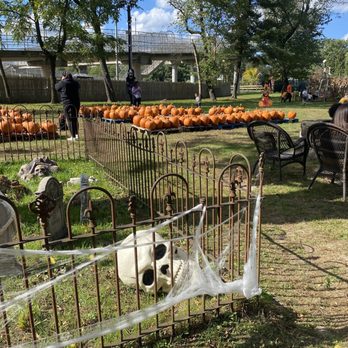Ward's Farm Pumpkin Patch - Pumpkin Patches Near Me - Ridgewood, New Jersey