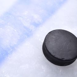 The Pond Hockey Club