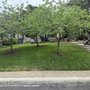 Photo of Eco Edge Lawn Care