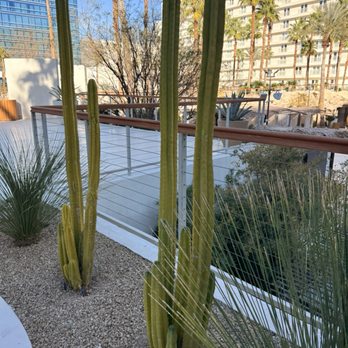 Virgin Hotels - Hotels Near Me - Las Vegas, Nevada Virgin Hotels - Hotels Near Me - Las Vegas, Nevada