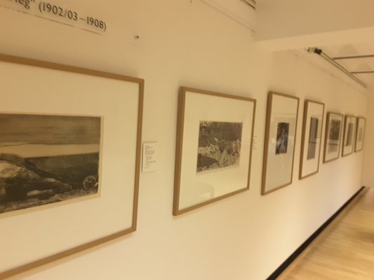 Käthe Kollwitz Museum by null