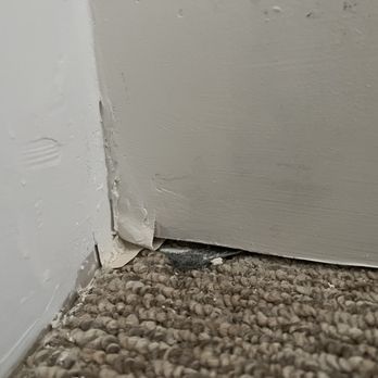 A2Z Home Maintenance Services - the corner of a room - Handyman Near Me