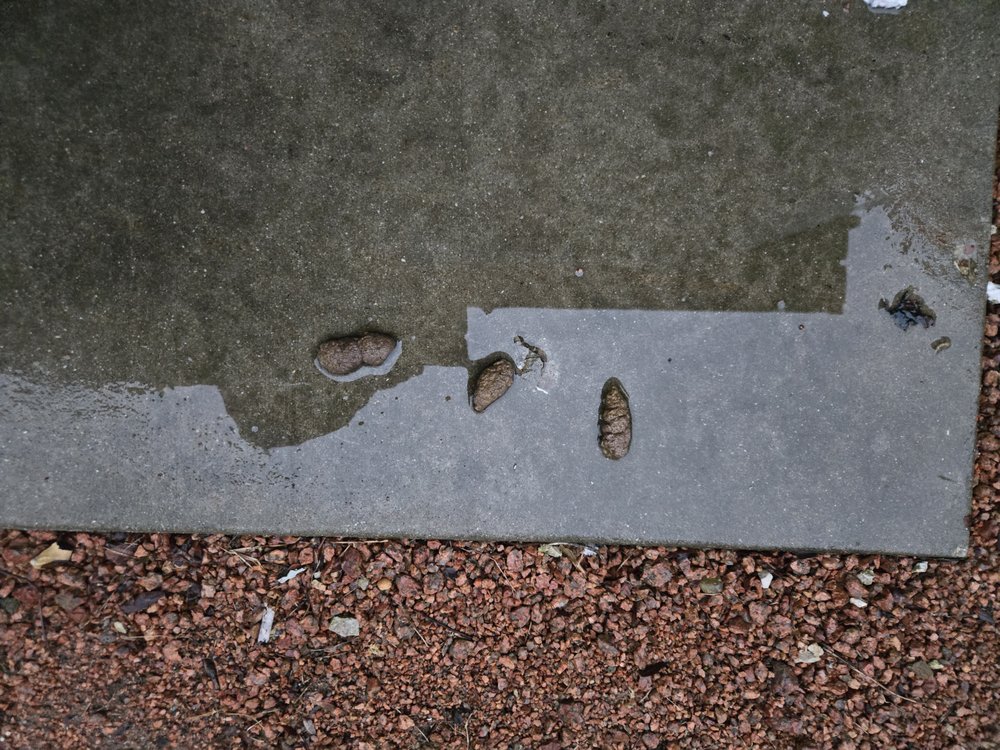 Katz properties - property management company in Milwaukee, WI