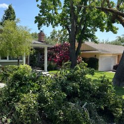 Sophisticated Tree Services
