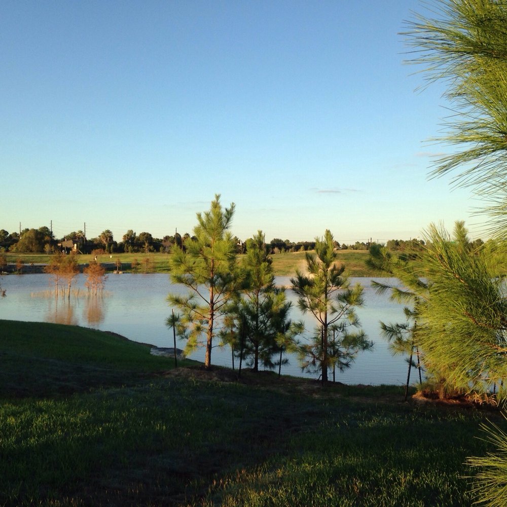 Willow Fork Park - Parks Near Me Willow Fork Park - Parks Near Me