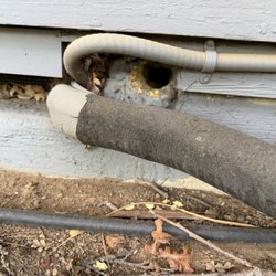Planet Orange - Rodent hole in foundation vent.