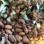 Photo of Taqueria Mis Amigos