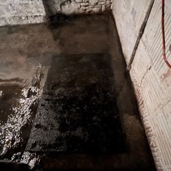 Renoz W Char - Garage epoxy floors