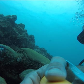 Scuba Steve's Scuba Shack - Link to a short clip while diving... https://instagram.com/p/BCexZLBBRL_/ - Diving Near Me Scuba Steve's Scuba Shack - Link to a short clip while diving... https://instagram.com/p/BCexZLBBRL_/ - Diving Near Me