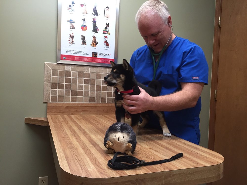 MISHAWAKA ANIMAL CARE CENTER 129 W Edison Rd, Mishawaka, Indiana