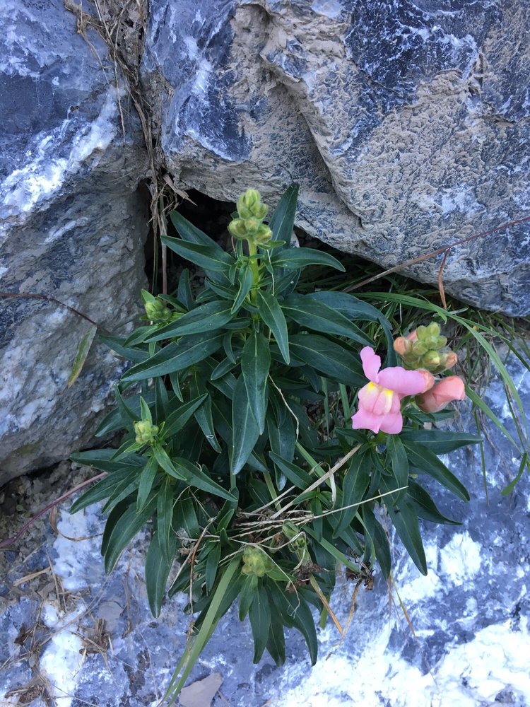 First Step of Sarasota - grief counselor in Sarasota, FL