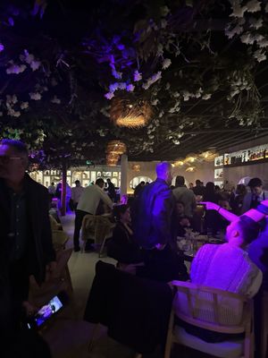 TRATA ON THE RIVER - Updated May 2025 - 141 Photos & 78 Reviews - 701