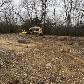 Kauffeld Tree Care - Tree Services Near Me Kauffeld Tree Care - Tree Services Near Me