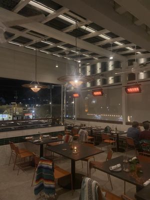 Little Coyote by null