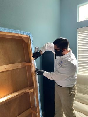 BEDBUG PEST CONTROL - BED BUG PEST CONTROL BEDBUG PEST CONTROL - BED BUG PEST CONTROL