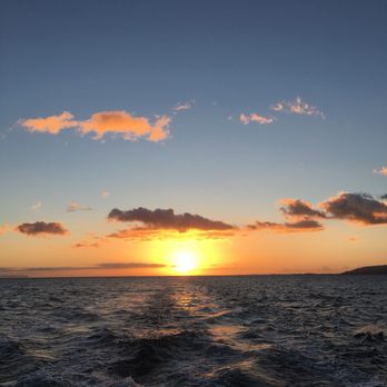 Capt Andy's - Boat Tours Near Me - Ele'ele, Hawaii Capt Andy's - Boat Tours Near Me - Ele'ele, Hawaii