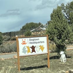 Best Friends Visitor Center - Dogtown