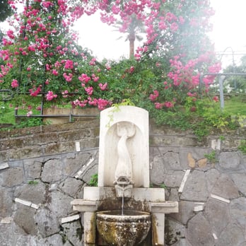 Roseto Comunale - Botanical Gardens Near Me - Rome, RM
