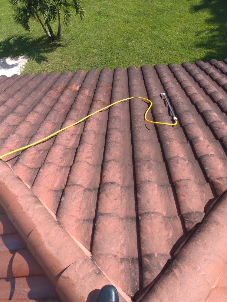 Slide of Elite Roof Cleaning
