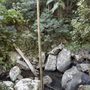 Tamborine Mountain