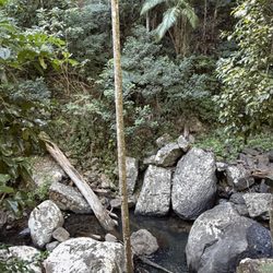 Tamborine Mountain
