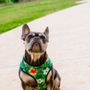 Photo of Meow Bark Veterinary