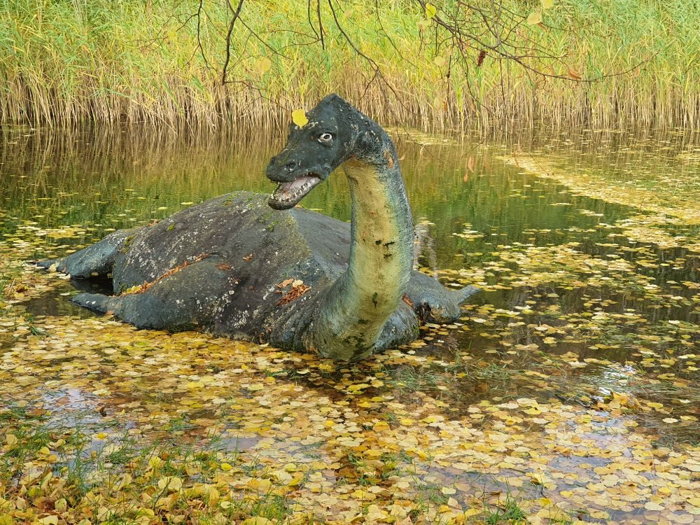 Highland Discovery Tours